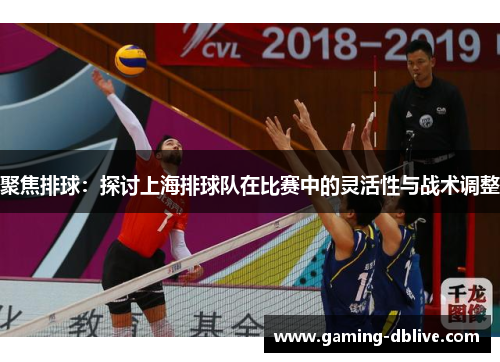 聚焦排球：探讨上海排球队在比赛中的灵活性与战术调整