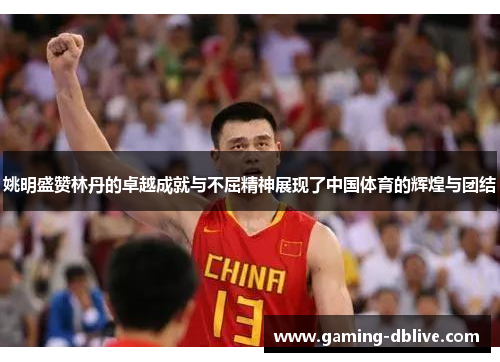 姚明盛赞林丹的卓越成就与不屈精神展现了中国体育的辉煌与团结