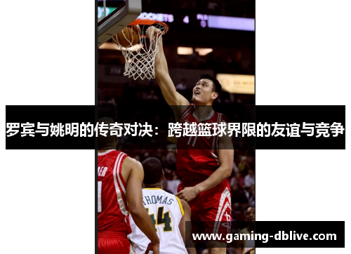 罗宾与姚明的传奇对决：跨越篮球界限的友谊与竞争